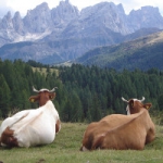 Vacanze primaverili in Trentino: offerte e pacchetti per famiglie