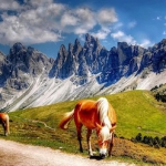 Scopri la bellezza delle Dolomiti: alloggia nel Residence Casa Canazei