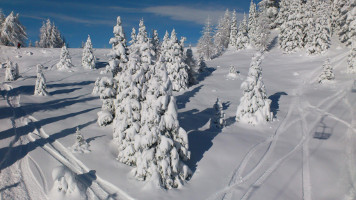 vacanze invernali in Trentino