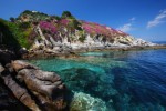 Vacanze all’Isola d’Elba? L’agenzia giusta è Agenzia Testi Viaggi