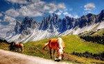 Scopri la bellezza delle Dolomiti: alloggia nel Residence Casa Canazei